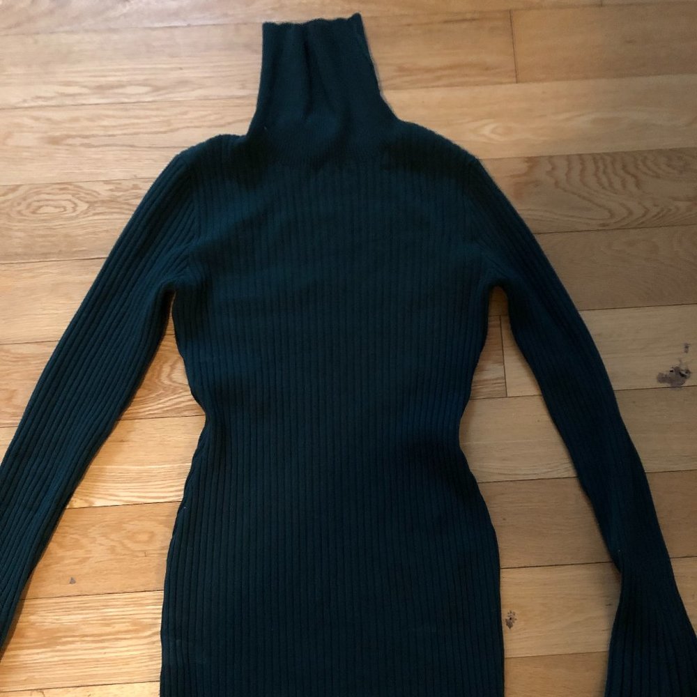 Bebe Ocean colored long sleeve, turtleneck dress size medium